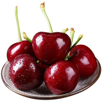 Cherry Đỏ Mỹ - Nhập khẩu